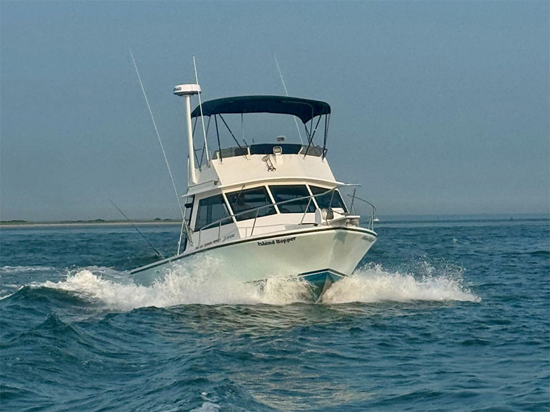 Island Hopper